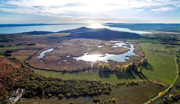 Marcelo Deluxe Tihany